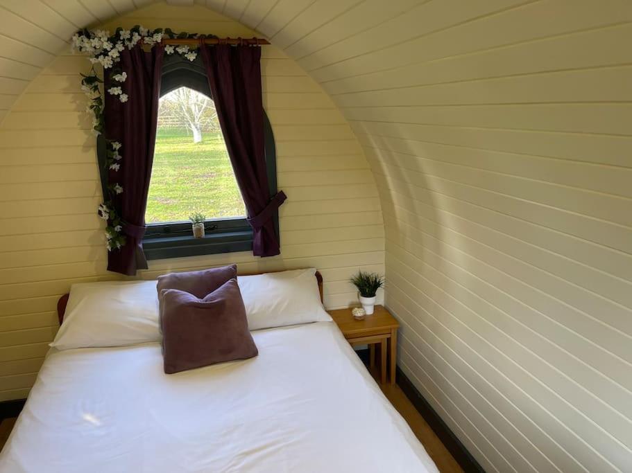 Hotel Belle Vista Glamping & Camping York Exterior foto