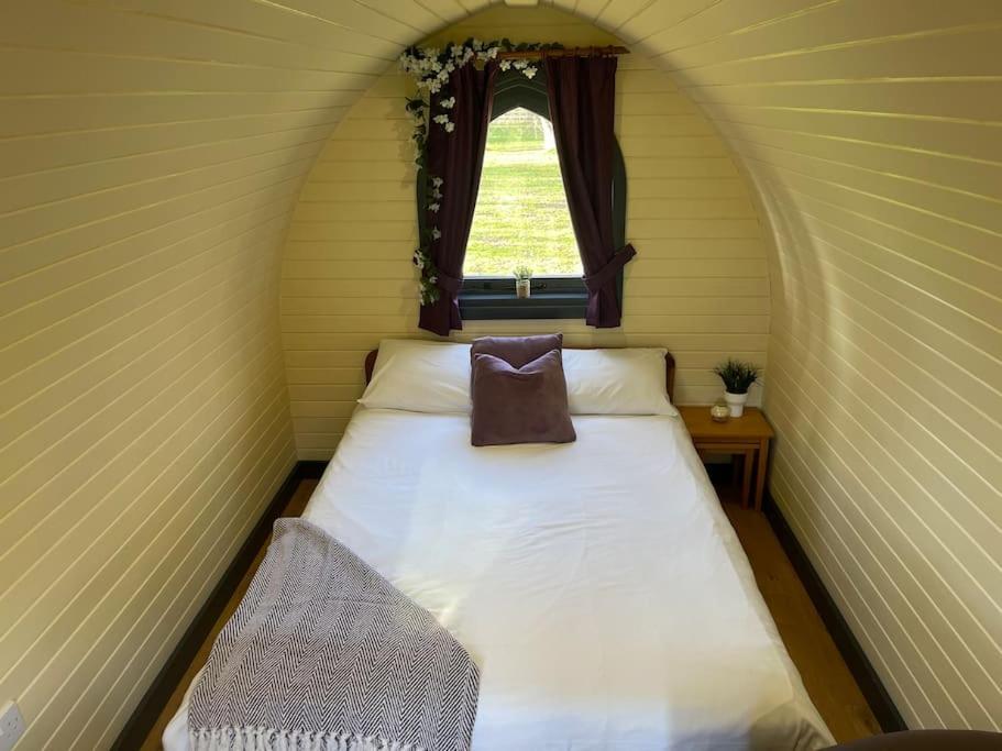 Hotel Belle Vista Glamping & Camping York Exterior foto